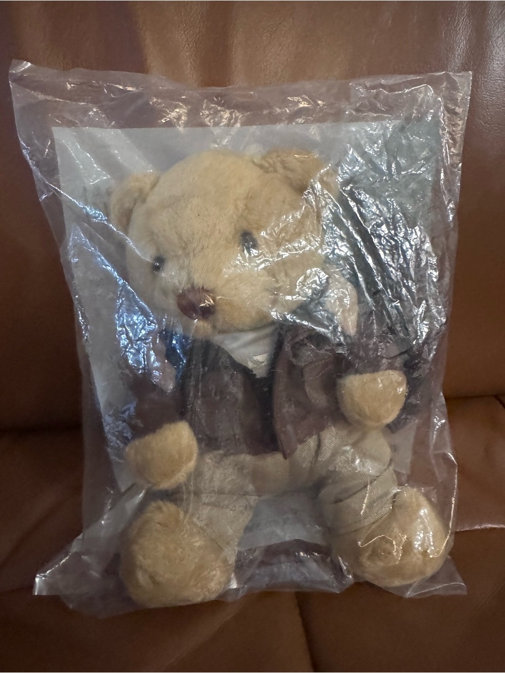 Cathay Pacific Pilot Bear Super Cool Edition NIB Sealed CXcitement Plush